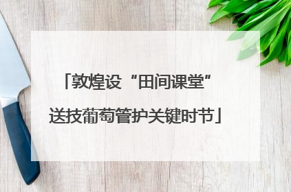 敦煌设“田间课堂” 送技葡萄管护关键时节
