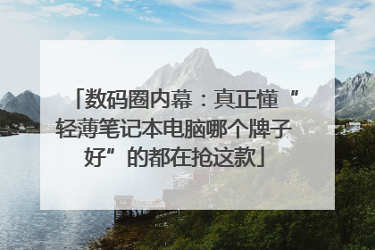 数码圈内幕：真正懂“轻薄笔记本电脑哪个牌子好”的都在抢这款