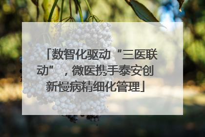 数智化驱动“三医联动”，微医携手泰安创新慢病精细化管理