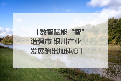 数智赋能“智”造强市 银川产业发展跑出加速度
