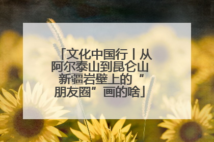 文化中国行丨从阿尔泰山到昆仑山 新疆岩壁上的“朋友圈”画的啥