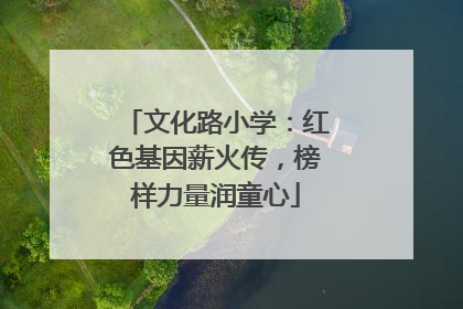 文化路小学：红色基因薪火传，榜样力量润童心