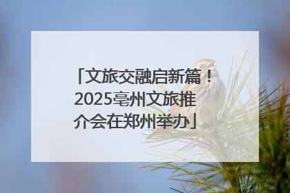 文旅交融启新篇！2025亳州文旅推介会在郑州举办