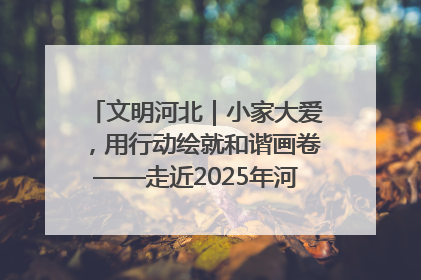 文明河北｜小家大爱，用行动绘就和谐画卷——走近2025年河北省“最美家庭”