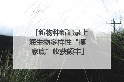 新物种新记录上海生物多样性“摸家底”收获颇丰