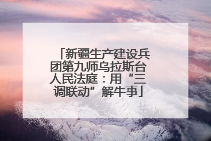 新疆生产建设兵团第九师乌拉斯台人民法庭：用“三调联动”解牛事