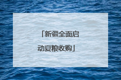 新疆全面启动夏粮收购
