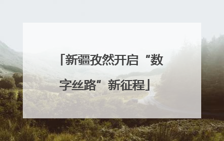 新疆孜然开启“数字丝路”新征程