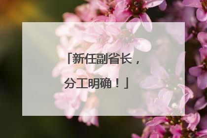 新任副省长，分工明确！