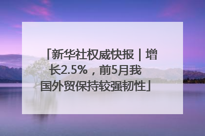 新华社权威快报｜增长2.5%，前5月我国外贸保持较强韧性