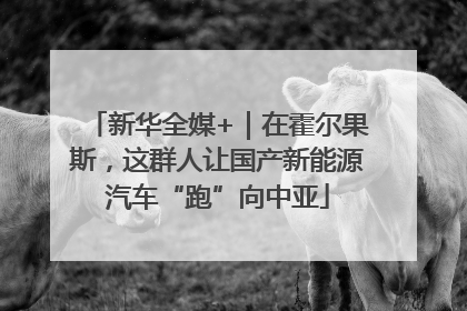 新华全媒+｜在霍尔果斯，这群人让国产新能源汽车“跑”向中亚