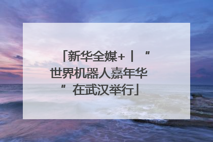 新华全媒+丨“世界机器人嘉年华”在武汉举行