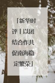 新华时评丨以团结合作共促南海稳定繁荣