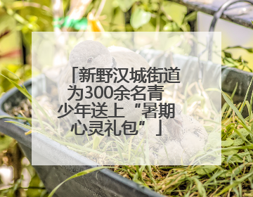 新野汉城街道为300余名青少年送上“暑期心灵礼包”