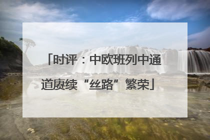 时评：中欧班列中通道赓续“丝路”繁荣