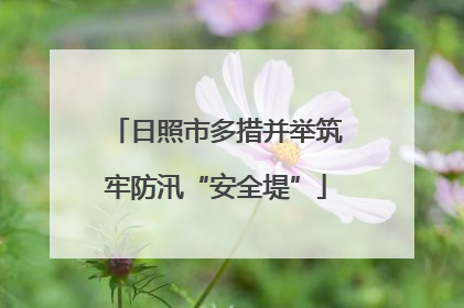 日照市多措并举筑牢防汛“安全堤”