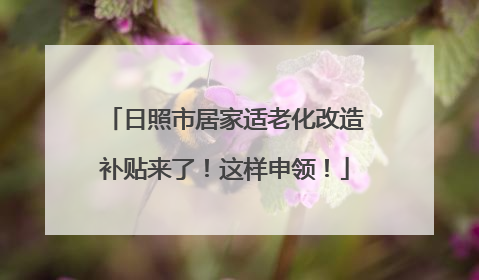 日照市居家适老化改造补贴来了！这样申领！