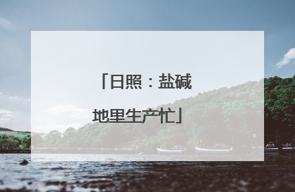 日照：盐碱地里生产忙