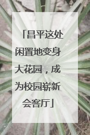 昌平这处闲置地变身大花园，成为校园崭新会客厅
