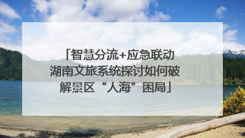 智慧分流+应急联动 湖南文旅系统探讨如何破解景区“人海”困局