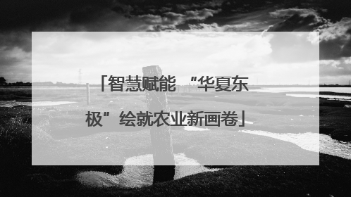 智慧赋能 “华夏东极”绘就农业新画卷