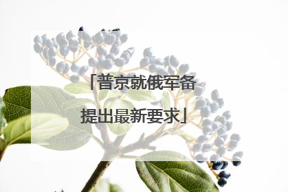 普京就俄军备提出最新要求