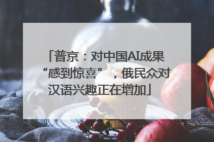 普京：对中国AI成果“感到惊喜”，俄民众对汉语兴趣正在增加
