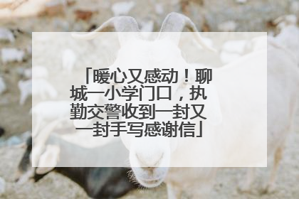 暖心又感动！聊城一小学门口，执勤交警收到一封又一封手写感谢信