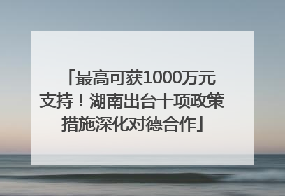 最高可获1000万元支持！湖南出台十项政策措施深化对德合作