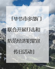 毕节市多部门联合开展打击和防范经济犯罪宣传日活动