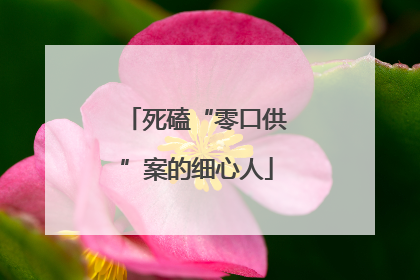 死磕“零口供”案的细心人