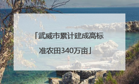 武威市累计建成高标准农田340万亩