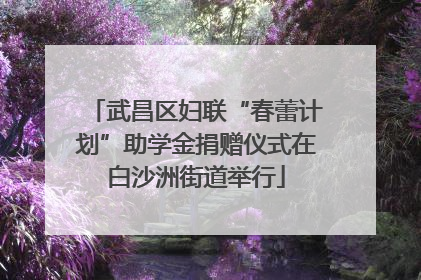 武昌区妇联“春蕾计划”助学金捐赠仪式在白沙洲街道举行