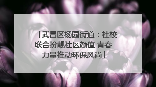 武昌区杨园街道：社校联合扮靓社区颜值 青春力量推动环保风尚