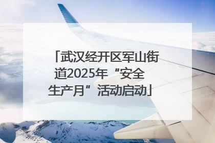 武汉经开区军山街道2025年“安全生产月”活动启动