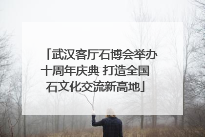 武汉客厅石博会举办十周年庆典 打造全国石文化交流新高地