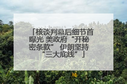 核谈判幕后细节首曝光 美政府“开秘密条款” 伊朗坚持“三大底线”