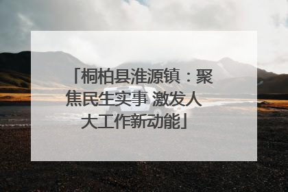 桐柏县淮源镇：聚焦民生实事 激发人大工作新动能