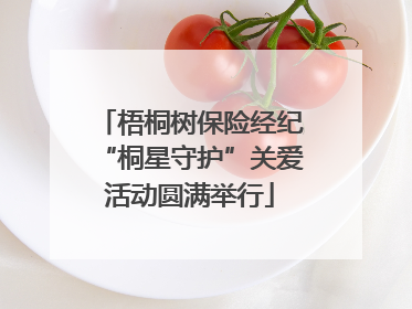 梧桐树保险经纪“桐星守护”关爱活动圆满举行