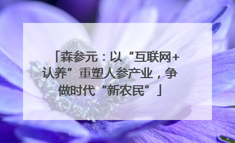 森参元：以“互联网+认养”重塑人参产业，争做时代“新农民”