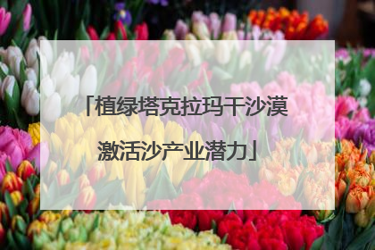 植绿塔克拉玛干沙漠 激活沙产业潜力