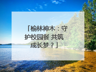 榆林神木：守护校园餐 共筑成长梦？