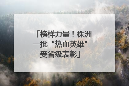 榜样力量！株洲一批“热血英雄”受省级表彰