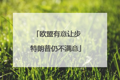 欧盟有意让步 特朗普仍不满意