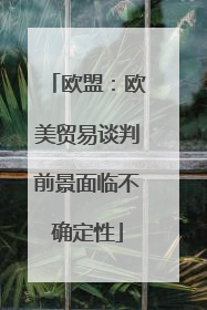欧盟：欧美贸易谈判前景面临不确定性