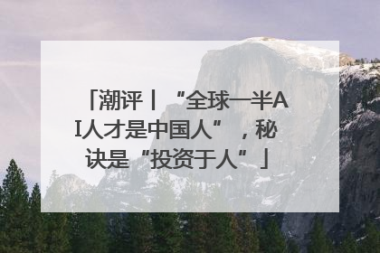 潮评丨“全球一半AI人才是中国人”，秘诀是“投资于人”