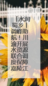 水润蜀乡丨调峰助航！川渝开展水资源联合调度保障嘉陵江大件航运