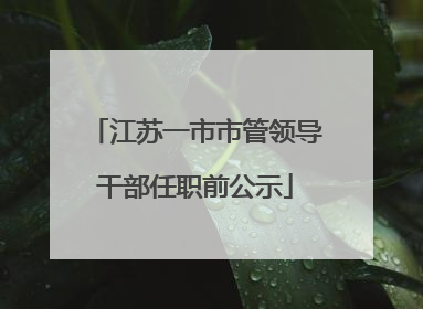 江苏一市市管领导干部任职前公示
