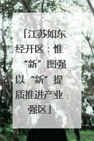 江苏如东经开区：惟“新”图强以“新”提质推进产业强区