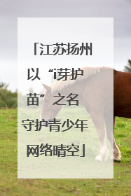 江苏扬州以“i芽护苗”之名 守护青少年网络晴空